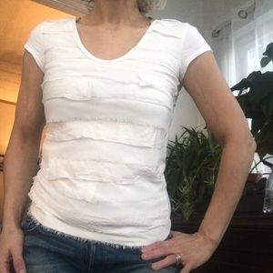 Women’s Petite  Ann Taylor Loft T-Shirt